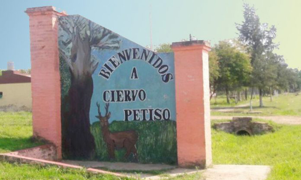 Ciervo Petiso